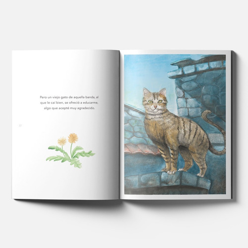 Imagen 3 de 6 de El Paraíso De Los Gatos - Émile Zola