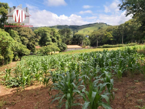 Linda Chácara Com 05 Dormitórios, Piscina, Área Gourmet, Pomar, Ótima Localização, À Venda, 9000 M² Por R$ 500.000 - Zona Rural - Pinhalzinho/sp - Ch0851