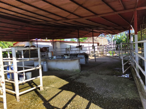 Estado Barinas Se Vende Finca Ganadera Yep11