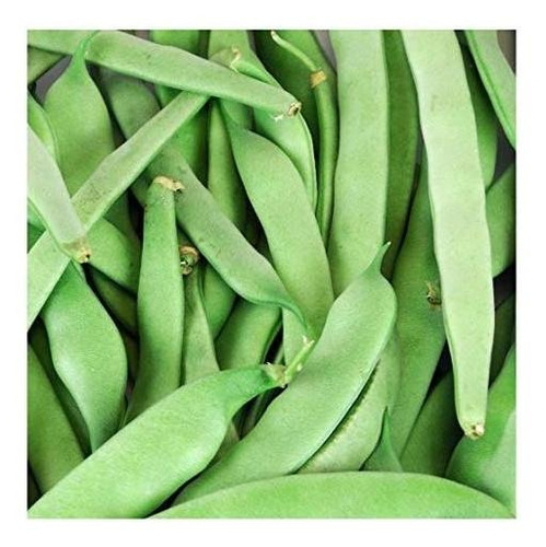 Semillas De David's Garden Bean Bush Roma Ii Sl1306 (verde)