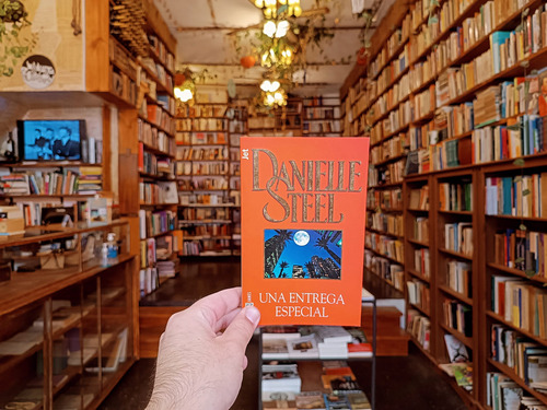 Una Entrega Especial. Danielle Steel. (Usado)