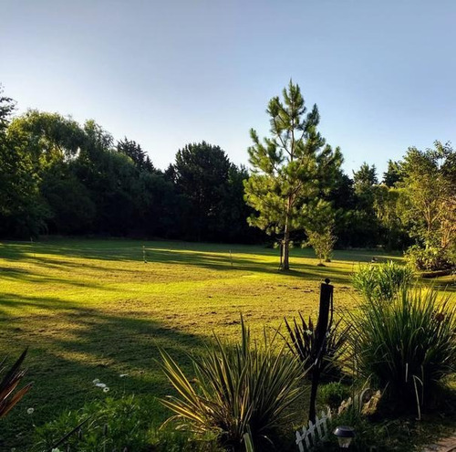 Casa - Villa Elisa