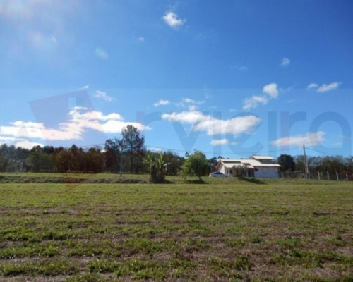 Imagem 13 de 17 de Terreno - 1623 - 32401960