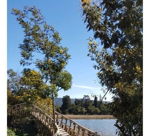 Imagen 15 de 30 de Oferta Terreno En Laguna Torca Lago Vichuquén