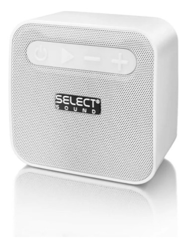 Select Sound, Bt221, Bocina Inalámbrica Recargable