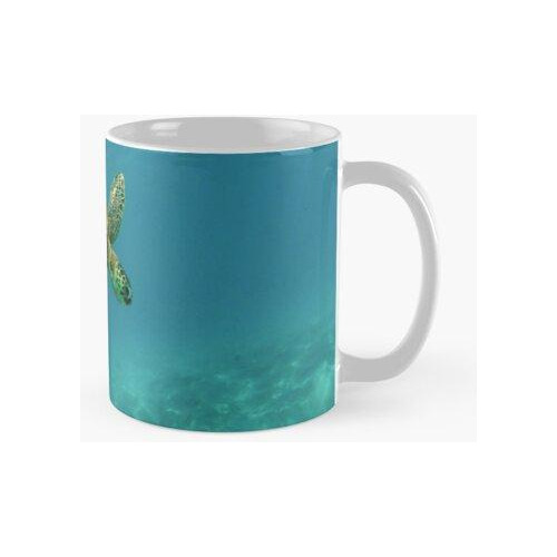 Taza Tortuga Bajo El Agua Calidad Premium