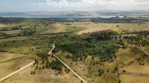 Chacra En Punta Ballena, Maldonado