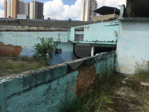 Terreno Em Zona Mista - 353-im17323