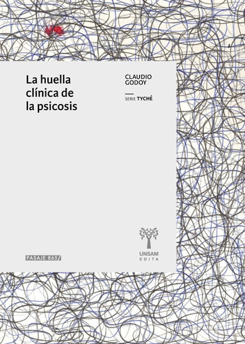 La Huella Clinica De La Psicosis - Claudio Godoy