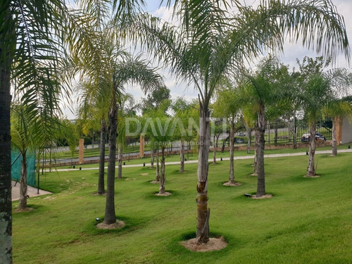 Imagem 17 de 24 de Terreno À Venda Em Residencial Jatibela - Te116786