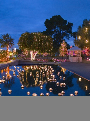 Luz Led Flotante X4 Rgb Deco Jacuzzi Piscina Pileta Control