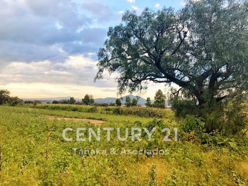 Imagen 7 de 10 de Terreno En Venta La Mejor Oportunidad De Inversion En San Miguel Tlaixpan , Texcoco, Edo. Mex.