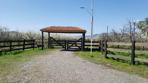 Imagen 3 de 7 de Puertas De Santa Cruz