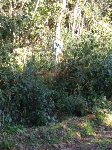 Imagem 8 de 11 de Terreno Para Venda Em São Francisco De Paula, Centro - Cwvt0230_2-1483305