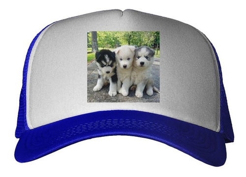 Gorra Husky Siberiano Cachorros