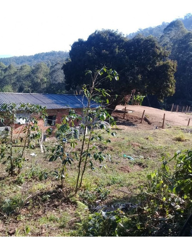 Imagem 7 de 21 de Chácara A Venda Em Bairro Estiva Do Agudo - Bragança Paulista/sp - Ch0021