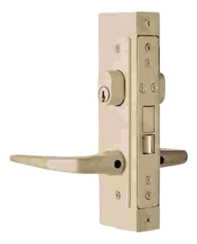 Chapa C/manija D585 Champagne