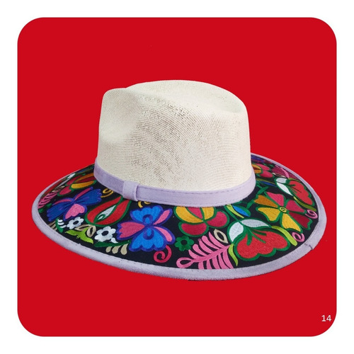 Imagen 5 de 10 de Elegante Sombrero Artesanal De Gamuza Bordado Mediano 2