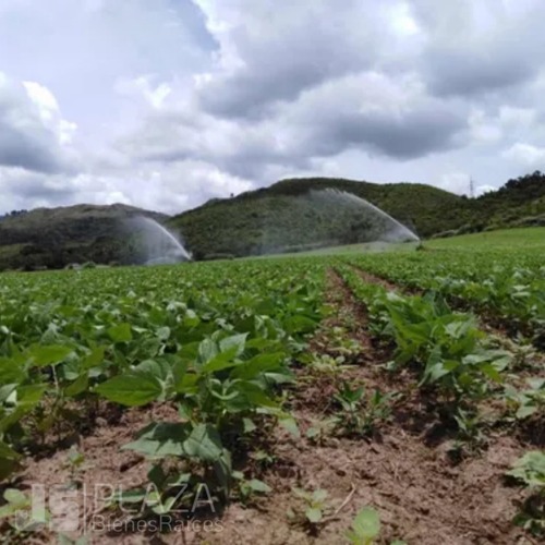 Imagen 5 de 12 de Finca De Terreno Propio En Venta Bejuma 04241408770