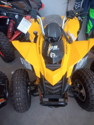 Imagen 2 de 8 de Can Am Ds 250