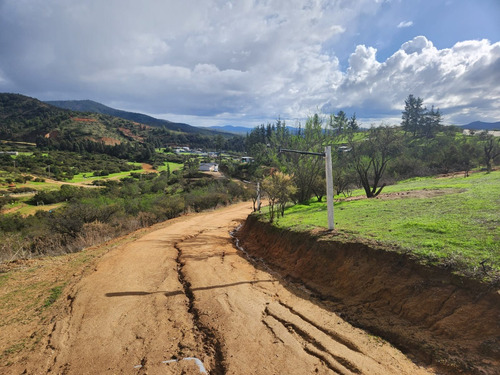 Se Vende Parcela De 3,3 Hectáreas En Los Quillayes, Quilpué