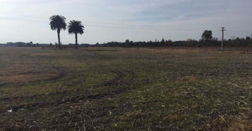 Campo Agrícola En Canelones Ref. 4434