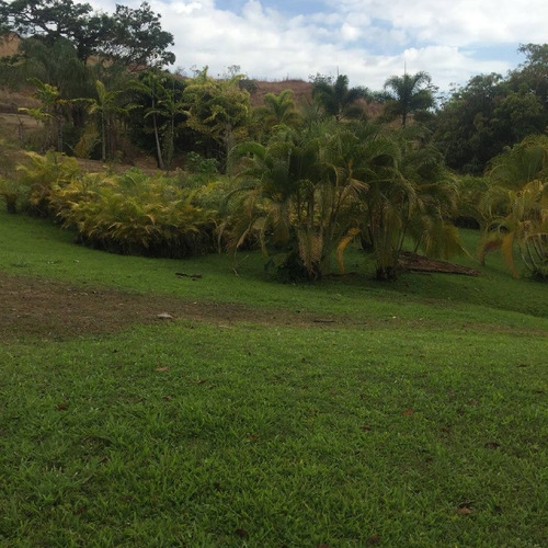 Imagen 27 de 30 de Parcela Con Bienhechurías En San Juan De Los Morros, Guárico