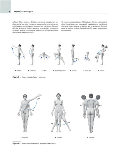 Eva Atlas De Anatomia