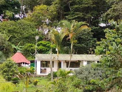 Finca en venta