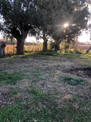 Imagen 7 de 14 de Lote Permuto Vendo Casa Con 8 Caballerizas Y Molino