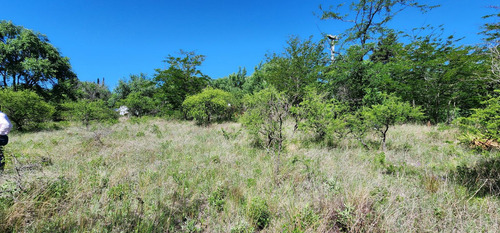 Terreno En Molinari