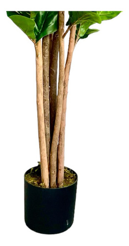 Planta Artificial Ficus Lyrata 150 Cm 180 Hjs / Arbusto Real