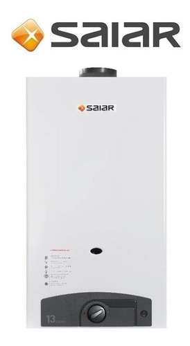 Calefon Saiar De Rheem 14 L Gn Automatico Sin Piloto Cuotas!