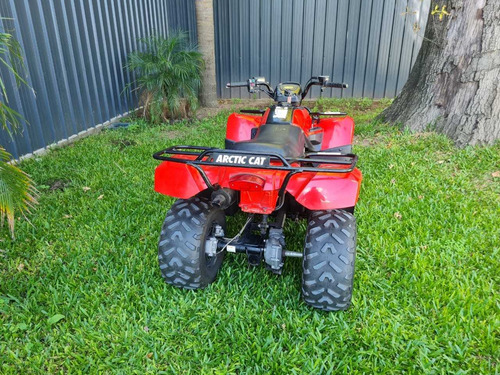 Arctic Cat 300 300 Parrillero
