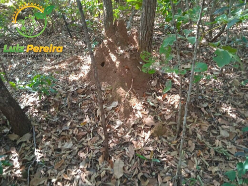 Imagem 2 de 11 de Fazenda À Venda No Vale Do Araguaia - To - Espetacular Para Soja - 1815