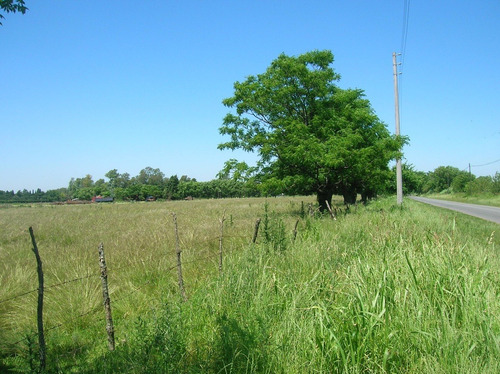 Imagen 3 de 8 de Alquiler Campo Centro Mariano Acosta, Muy Bueno