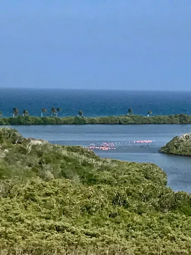 Apartamento Bahía El Morro 1