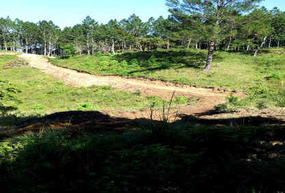 Terreno En  Jarabacoa Para Desarrollo Ecoturistico