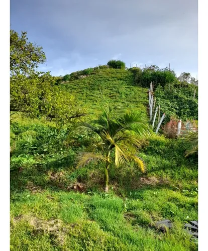 Finca En Venta En El Municipio De Marinilla Antioquia