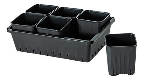 Maceta Para Trasplante De Plántulas, Caja De 6 Rejillas