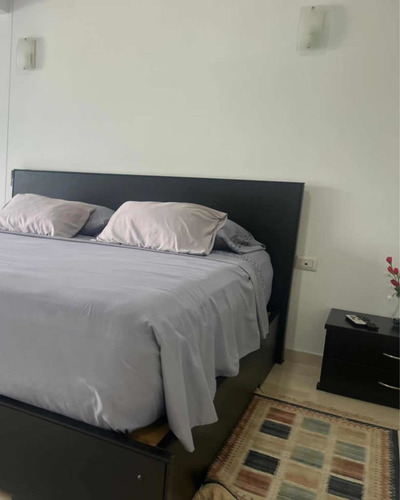 Imagen 10 de 27 de Apartaneto En Alquiler Con Pisicna En San Cristobal Amoblado