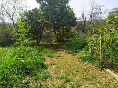 Imagem 10 de 11 de Chácara À Venda No Bairro Parque Das Garças - Guaratinguetá/sp - Ch140