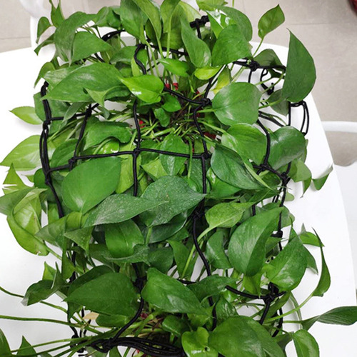 Enrejado Elástico Support Scrog Net Para Invernaderos T (90