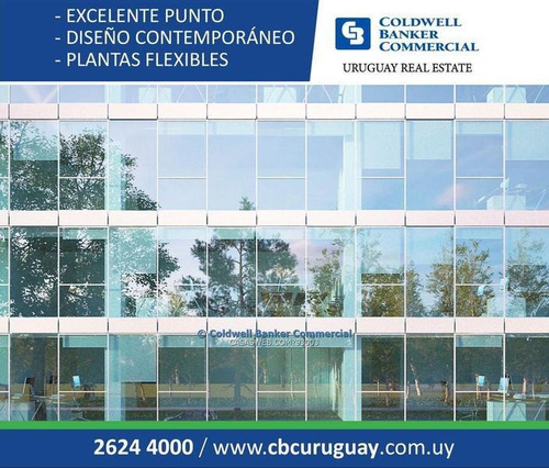 Oficina Avenida De Las Américas Alquiler