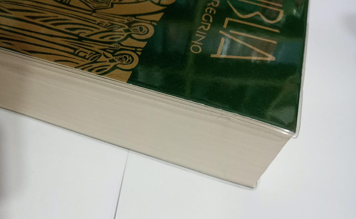 Bíblia Do Peregrino Com Estudos Católica Capa Cristal Brochura - Editora Paulus
