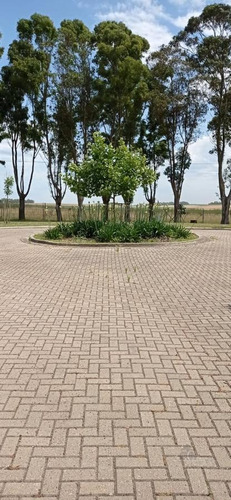 Imagen 30 de 30 de Terreno - Mar Del Plata - Pileta - Mar - Country - Barrio Privado - Golf - Costa Atlántica