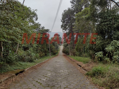 Imagem 2 de 5 de Terreno Em Serra Da Cantareira - São Paulo, Sp - 371762
