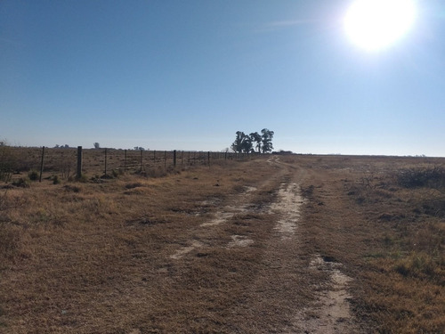Imagen 8 de 13 de Vendo 90 Hectareas Ganaderas En Ucles, Cba