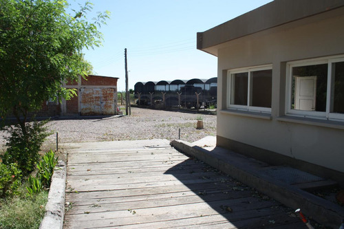 Bodega - Mendoza
