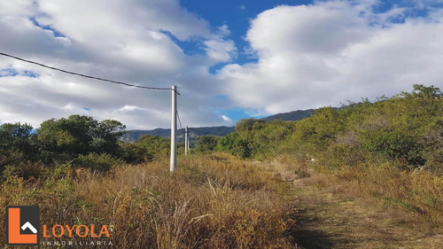 Imagen 4 de 30 de Carpintería, Lotes De 5000 M2